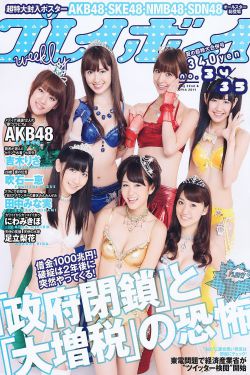 九夫虐妻
